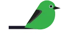 greenbird